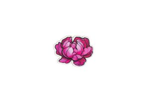 Drevená brošňa Kvet pivonky