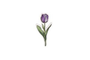 Drevená brošňa Tulipán
